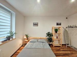 Apartament 5 minut od Parku Zamkowego