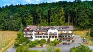 Gasthof-Hotel Lärmfeuer - 米歇尔施塔特