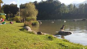 Ferienwohnung Liebermann