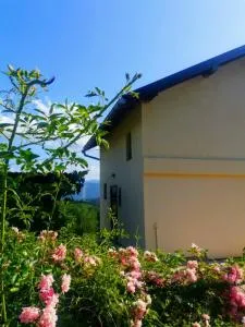 Vikendica Pale - Sokolac