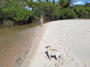 Casas lindas no paraiso!