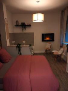 Bliss insolite Jacuzzi privée 5 min centre ville