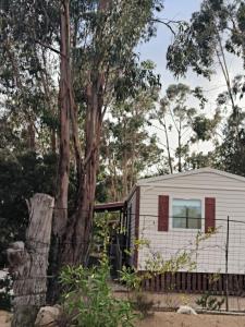 Campings Mira Monti Location : photos des chambres