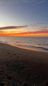CASA LOBO - La Pedrera -Luxury- Diseño junto al Mar