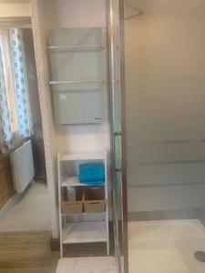 Appartements LES TOURISTES : photos des chambres