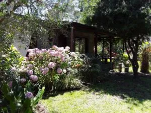 El Viento en los Sauces - La Capuera