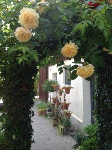 Landloft Haus Probst