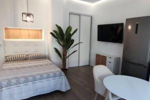 Estudio diseño cerca Ciudad Ciencias VT-55211-V - 4hvězdičkové hotely ve městě Valencie