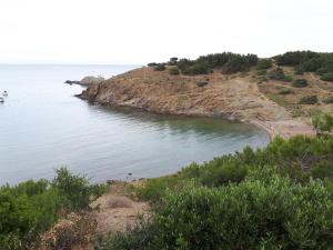 Apartamento Espacioso en Llançà Cerca de la Playa con Terraza y Acepta Mascotas - ES-170-39