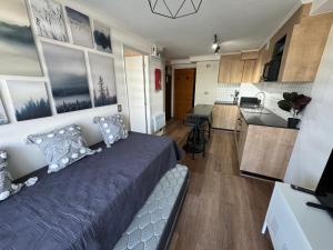 Apart hotel Chillán - Departamento Royal Suite 2 Chillan - Centro - Factura - Empresa - Parking - wifi