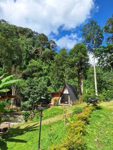 Virgin River @Mae Wan