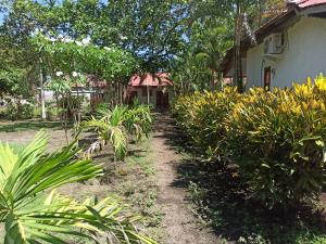 Tangkoko Jungle Homestay