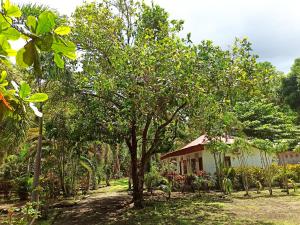 Tangkoko Jungle Homestay
