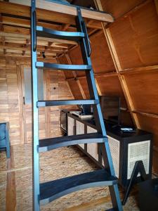 Villa Verde the garden