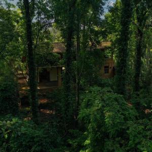 Weralugama Forest House