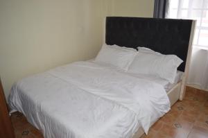 Nikkis 2BR Home Ruiru, Thika Road