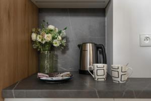 Cosy Studios Gąsiorowskich by the Wilson Park by Noclegi Renters