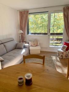 Appartements Studio montagne gentianes : Appartement 1 Chambre