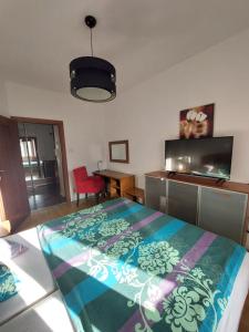 SAS Apartamenty Amber