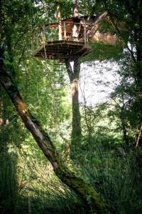 Chalets Dihan Evasion : Chalet 1 Chambre