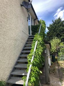 Bright & spacious first floor apartment Cambridge