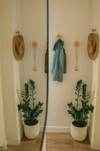 Lia & John 2BR amazing apartment