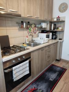 Cozy Apartment in Rasnov