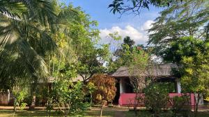 Kandalama Hostel