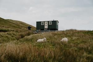 Barlwyd Glamping