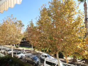 Apartment Celio I by Interhome