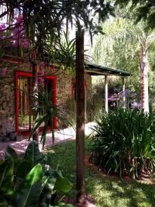 El viento en los sauces - La Capuera