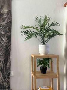 Xenia Apartments - Charming Garden Suite in Porta Venezia