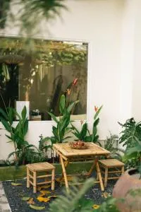 Phòng Mơ - Nhà Mơ Homestay Bến Tre - Мітхо