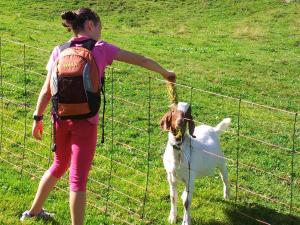 Apart Alpenpension Maderer