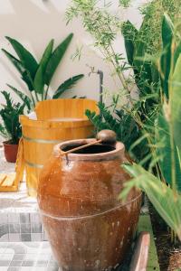 Entire First Floor - Nguyên Tầng Trệt- Nhà Mơ Homestay Bến Tre