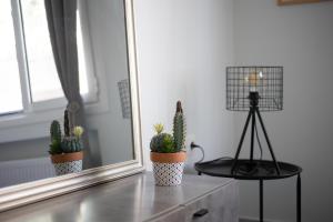 Newly Renovated Cozy Studio Downtown Athens