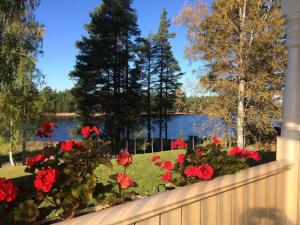 The Pintorp cabin by the lake