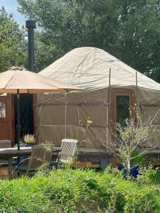 The Yurt @ Penbanc Pasture - Unrated properties in Cardigan