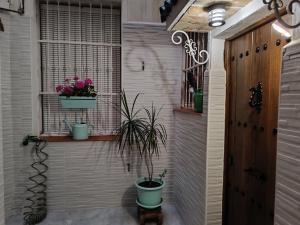 Apartamento Centro Histórico