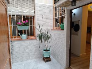 Apartamento Centro Histórico