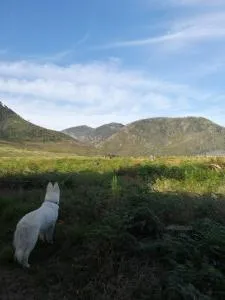 Bushman's Pillow - Eersterivierstrand