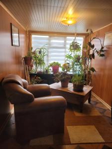 Hostal familiar traveltour El Campesino