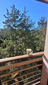 Apartman Dunja-Vila Pekovic Zlatibor