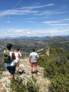 La plume du Ventoux suite 305