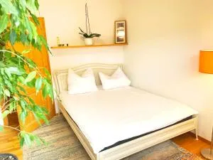 1,5-Zimmer mit Duschbad, Gartenblick, Kühlschrank - 纽伦堡的施韦格