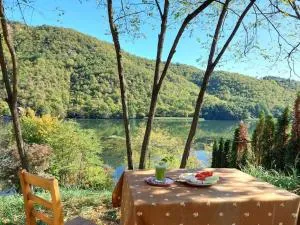 "Kod dva kestena"Warm and cozy house with lake view sauna - Riđage