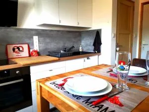 Joli meublé de tourisme calme et proche centre - Didenheim