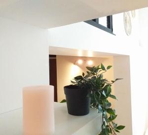 Le Paisible - Gare - Duplex - Garage privé - Netflix