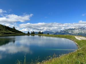Arve et Giffre Samoens 1600