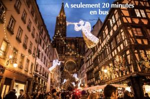 Appartements Appartement Rooftop - 5 min Centre ville Strasbourg : photos des chambres